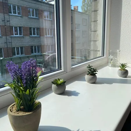 Mitten In Der Mit Guter Anbindung Zum Zentrum Apartment Riga